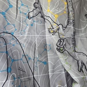 Jurassic park Twin Sheet Set Pillow Cases.
